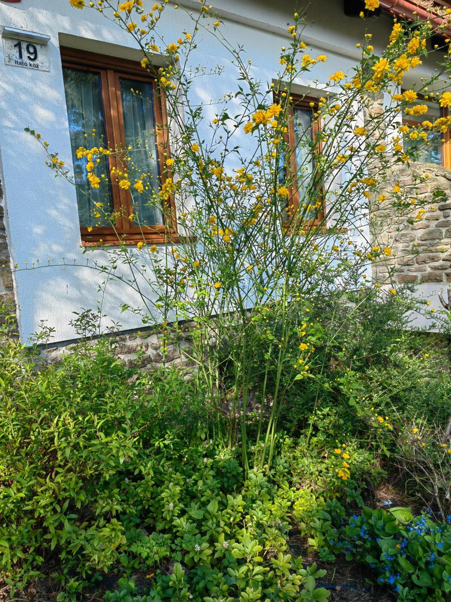 Hanga Vendeghaz Tihany Exterior photo